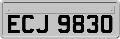ECJ9830