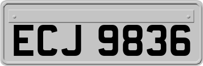 ECJ9836