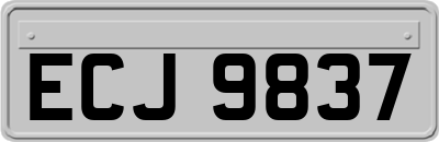 ECJ9837