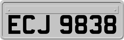 ECJ9838