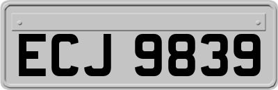 ECJ9839