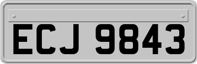 ECJ9843