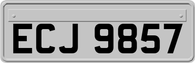 ECJ9857