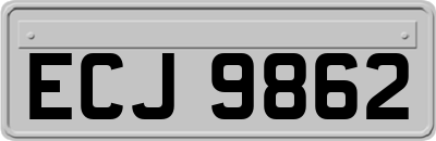 ECJ9862