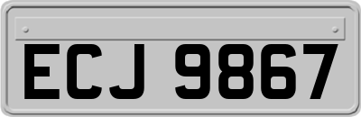 ECJ9867