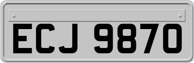 ECJ9870