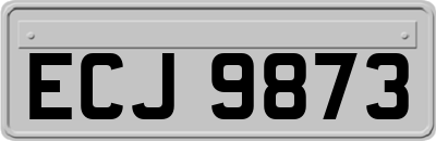 ECJ9873