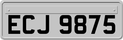 ECJ9875