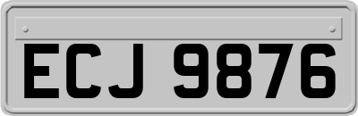 ECJ9876