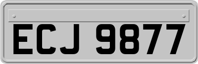 ECJ9877