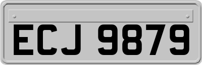 ECJ9879