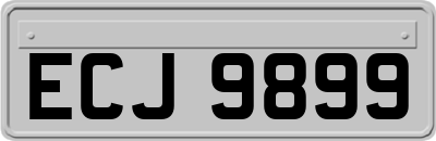 ECJ9899