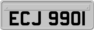 ECJ9901