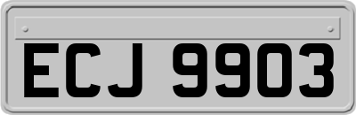 ECJ9903