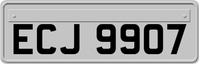 ECJ9907