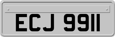 ECJ9911