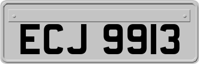 ECJ9913