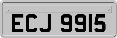 ECJ9915