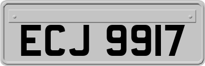 ECJ9917