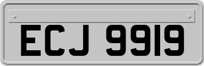 ECJ9919