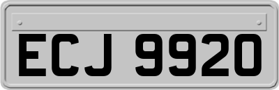 ECJ9920
