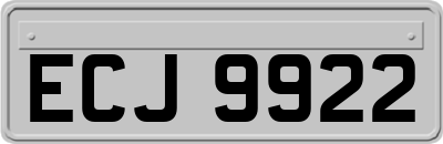 ECJ9922
