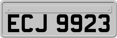 ECJ9923