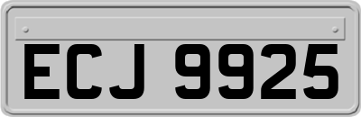 ECJ9925