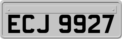 ECJ9927
