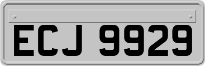ECJ9929
