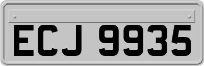 ECJ9935