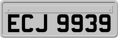 ECJ9939