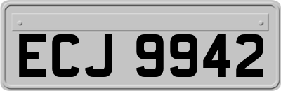 ECJ9942