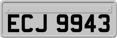 ECJ9943