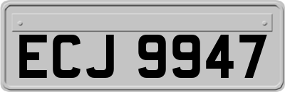 ECJ9947