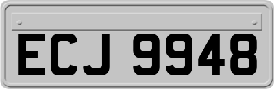 ECJ9948