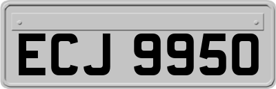 ECJ9950