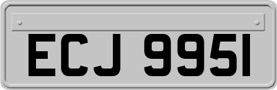 ECJ9951
