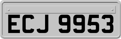 ECJ9953