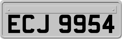 ECJ9954