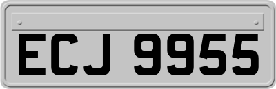 ECJ9955