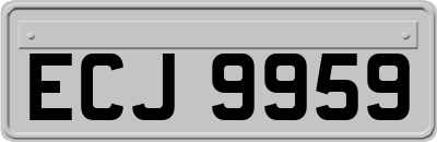 ECJ9959