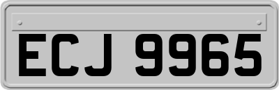 ECJ9965