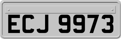 ECJ9973