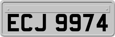 ECJ9974
