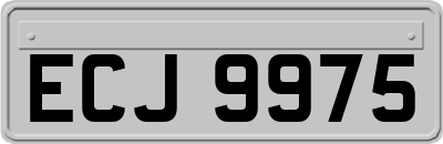 ECJ9975