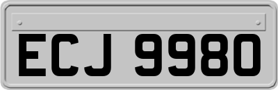 ECJ9980