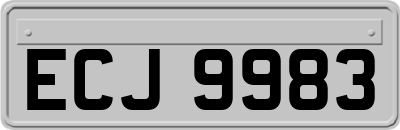 ECJ9983
