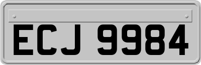 ECJ9984