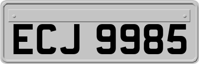 ECJ9985